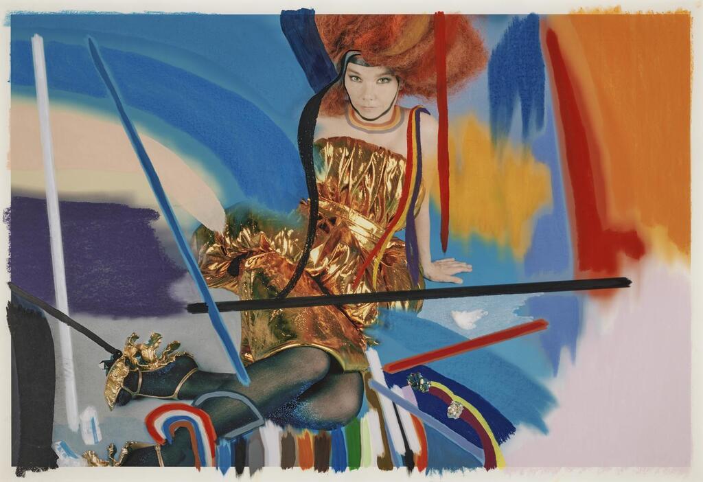 Untitled (Björk No. 8)