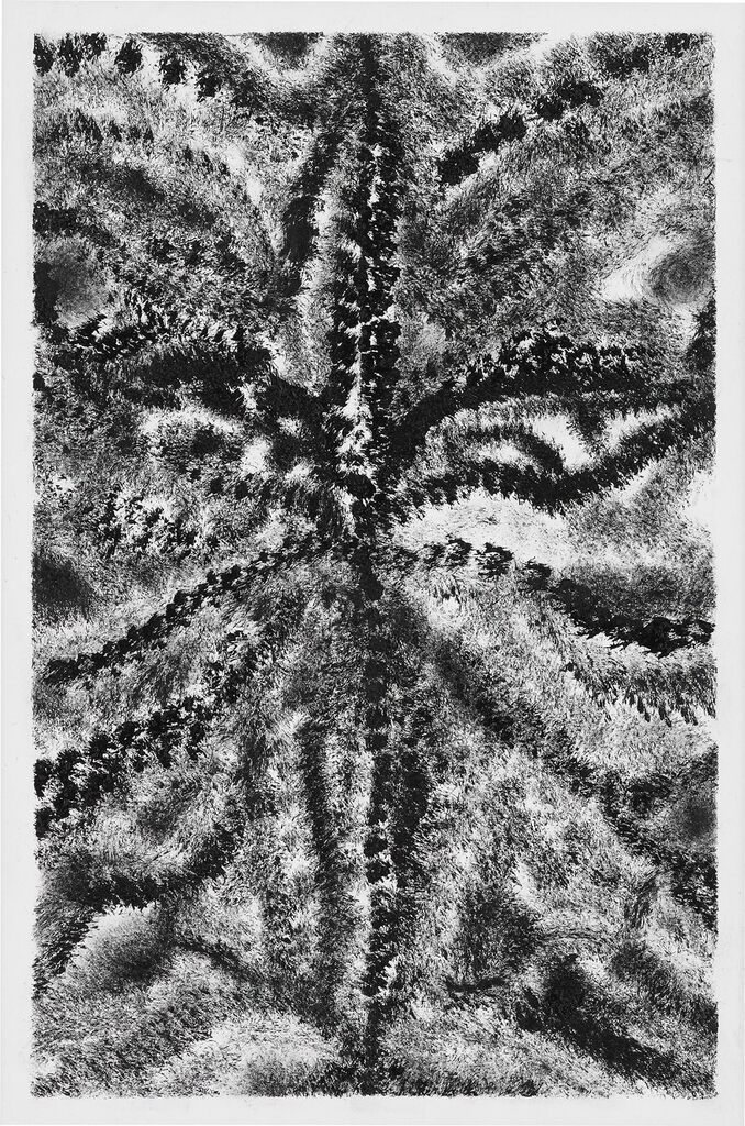 Plume 3