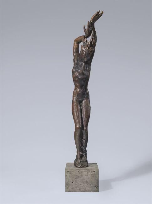 ”Große Daphne”