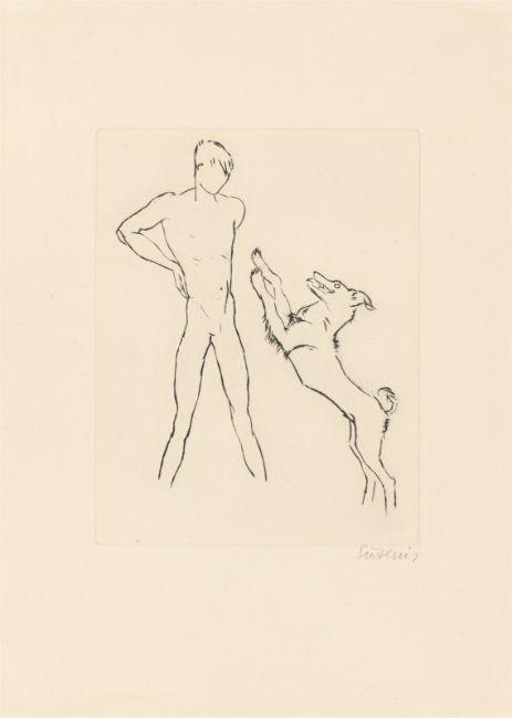Young boy with jumping dog.