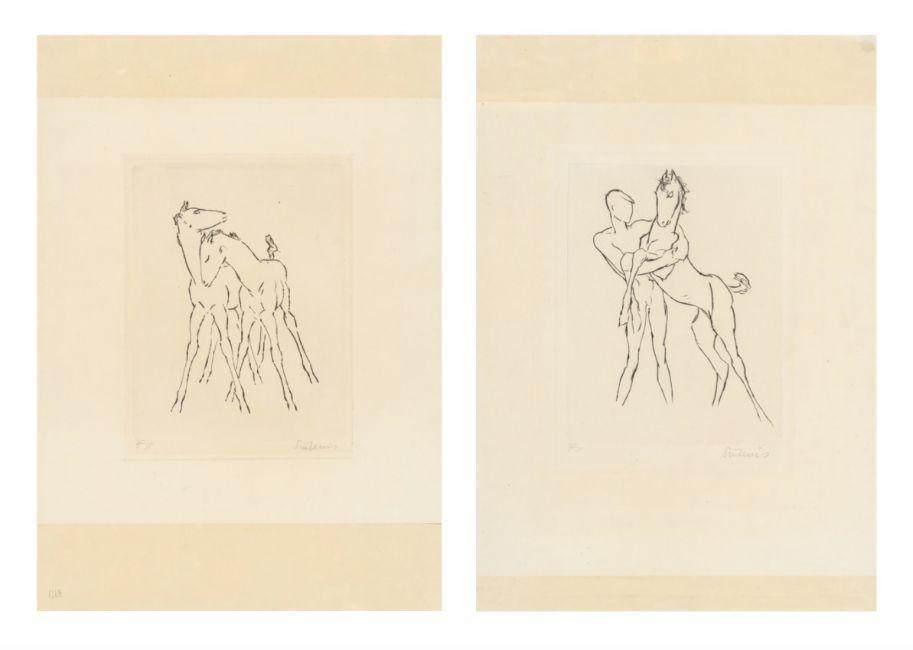 Boy with foal / Two foals