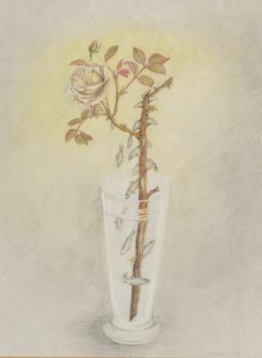 Rose with fish thorns