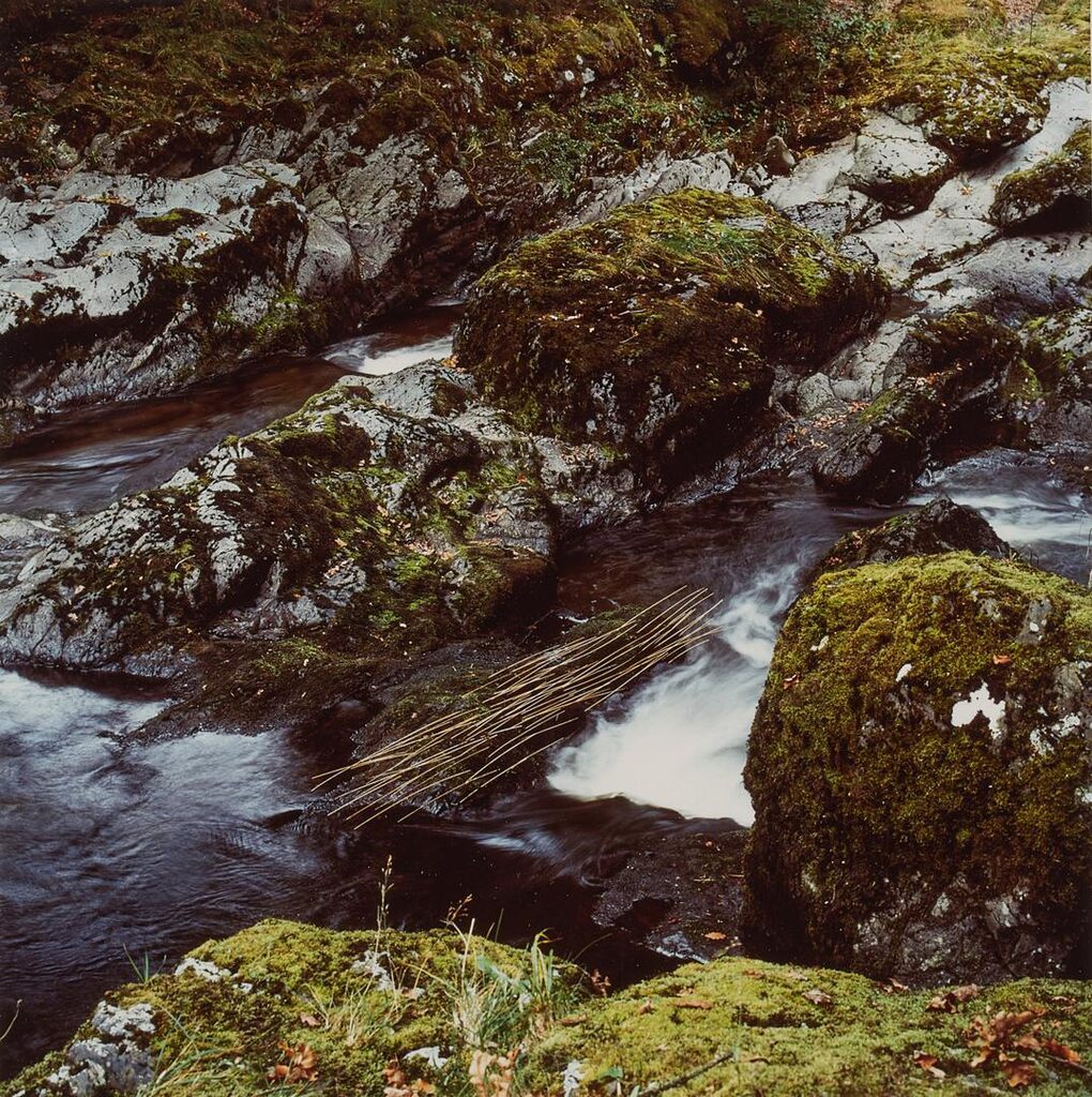 Grass Stalks / Laid Alongside the River / Glen Marlin Falls