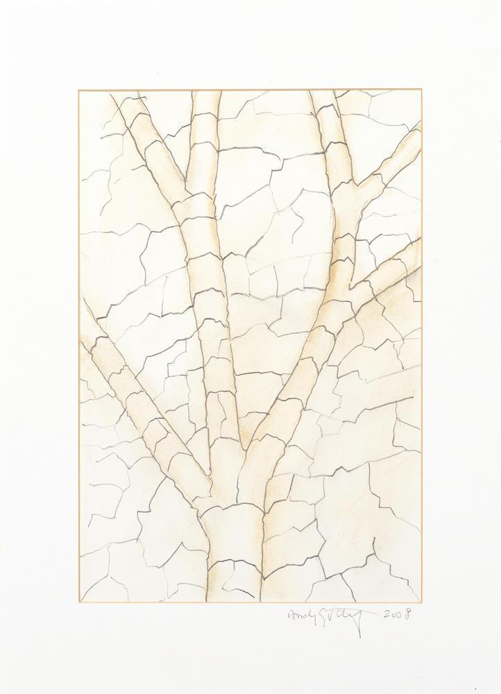 Clay Tree Wall, Jupiter Artland