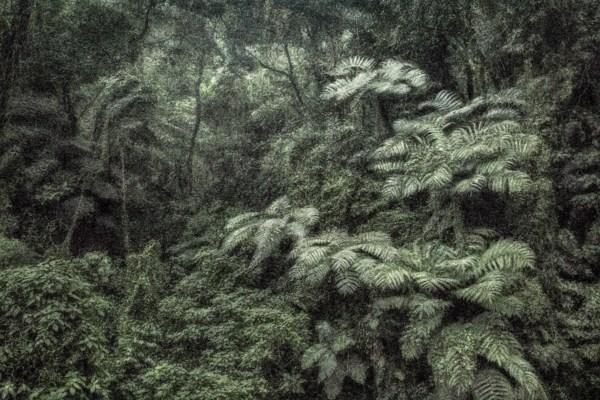 A picturesque voyage through Brazil #144