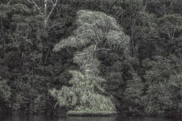 A picturesque voyage through Brazil # 21