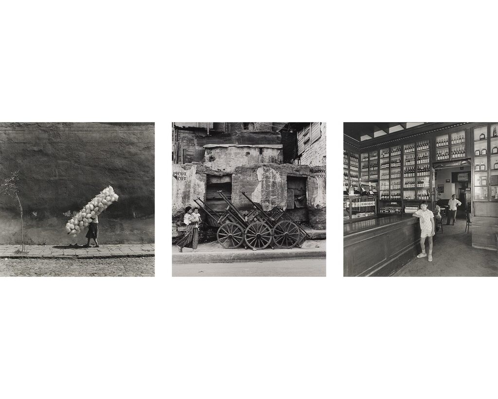 Selected Images
