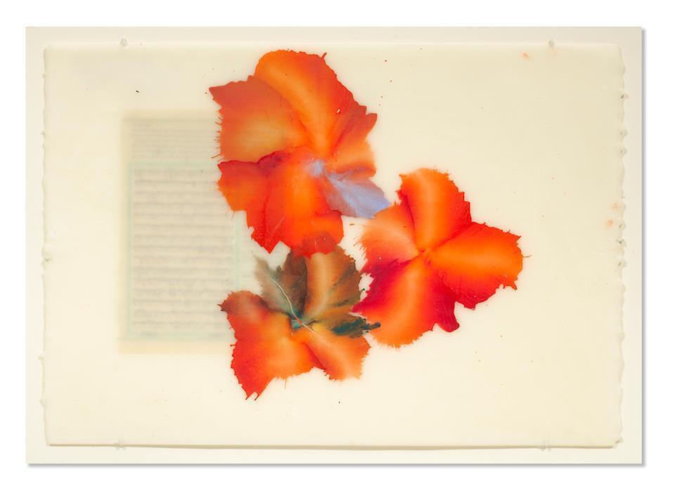 La luz que se apaga (deux œuvres)