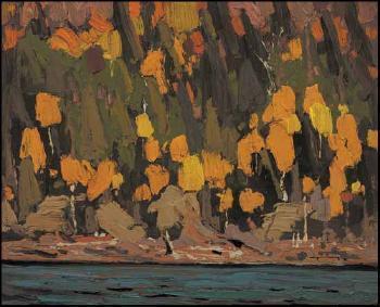 Birches and Cedar, Fall