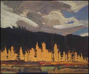 Tamarack Swamp (Sketch #5)