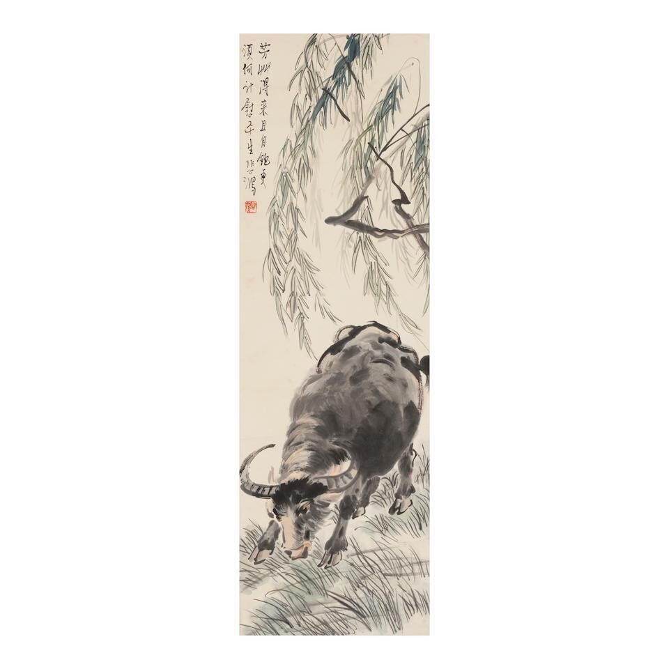 Water Buffalo