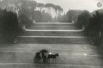 Jardins de la Villa Borghèse. Rome,  1958.