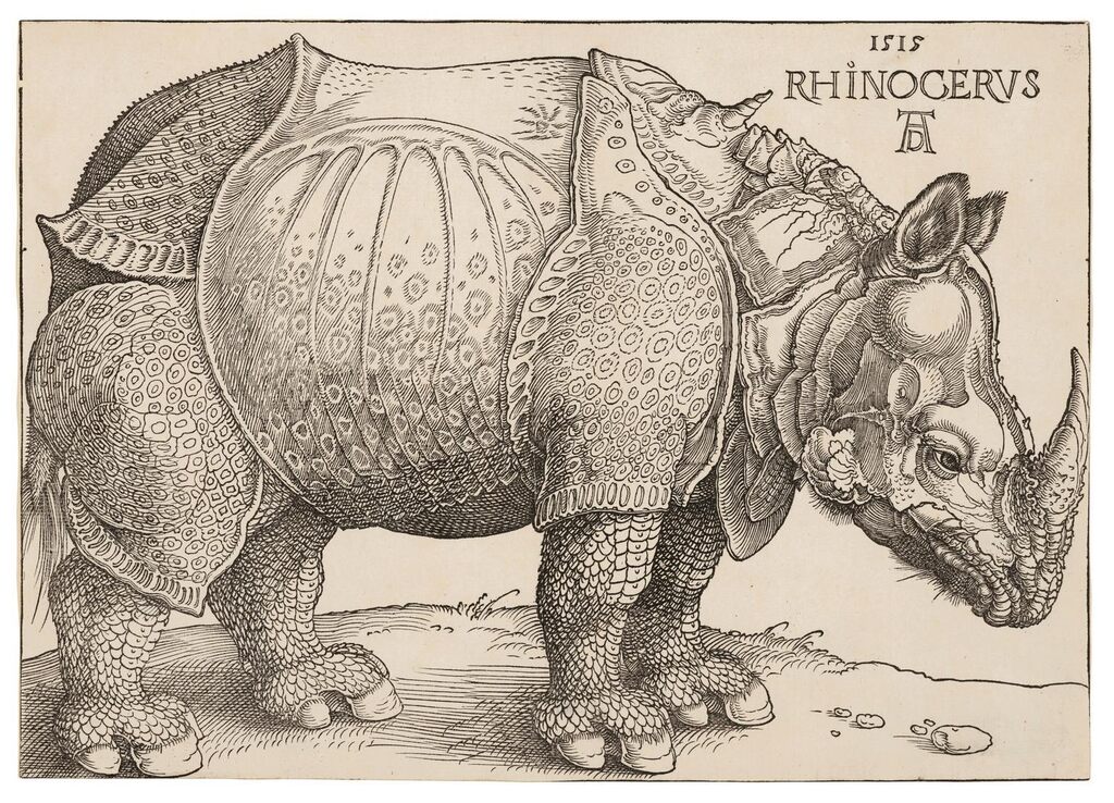 Rhinoceros