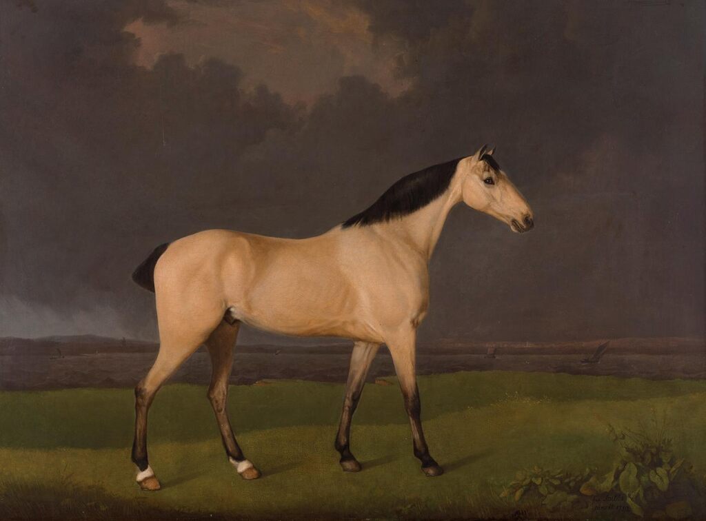 A dun hunter on the south bank of the River Humber, Lincolnshire