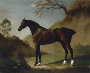George Stubbs, Dark bay thoroughbred in a landscape
