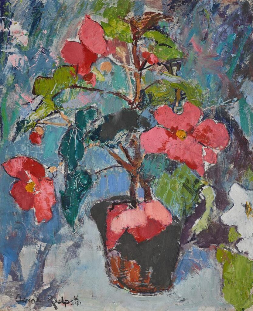 Begonias