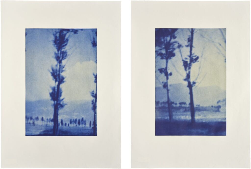 From One Tree; and To Another