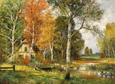 Ducks in an pond in autumn