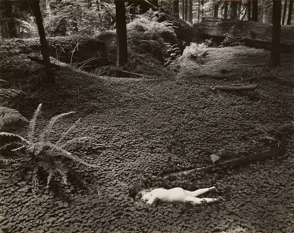 Child in the Forest