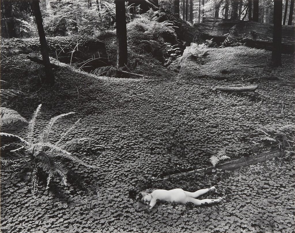 Child in Forest