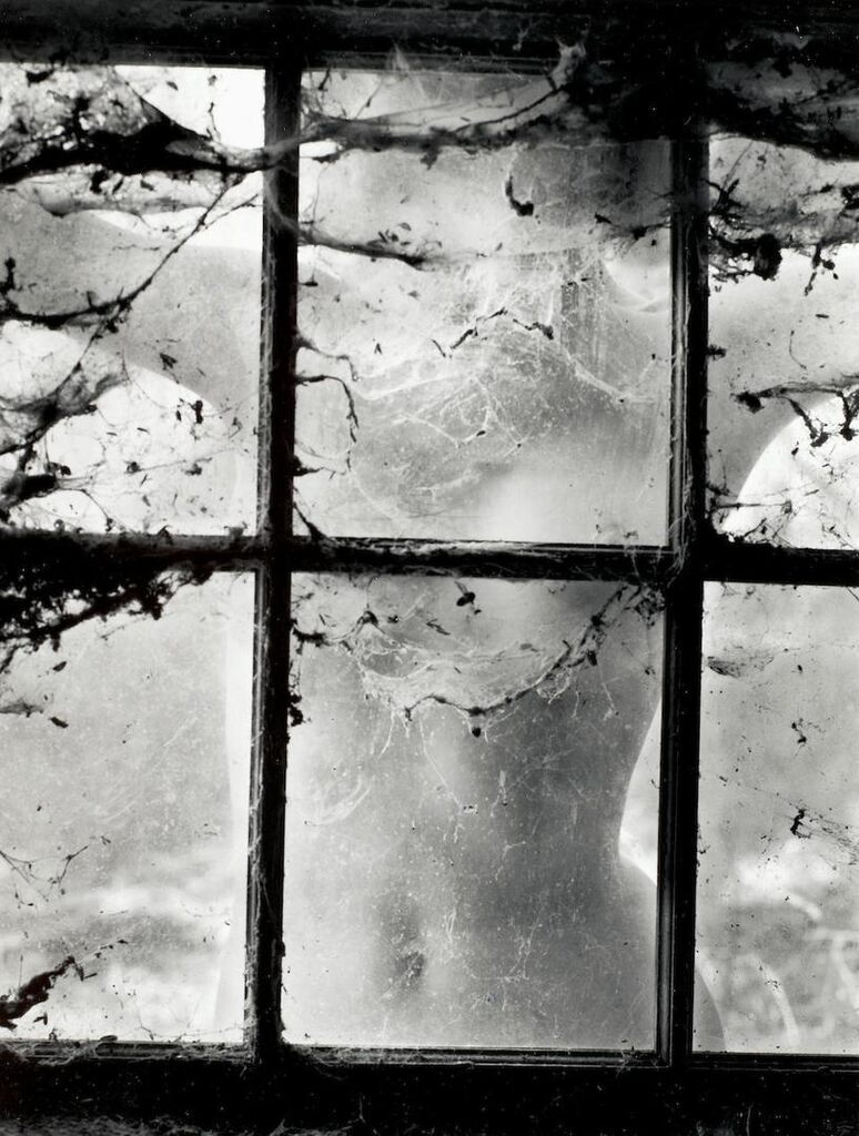 'Nude Behind Cobwebbed Window', 1955