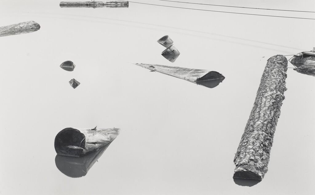 Floating Logs