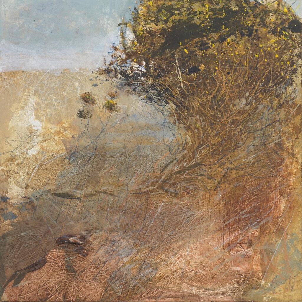 Gorse