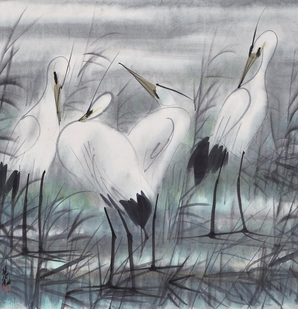 White Egrets