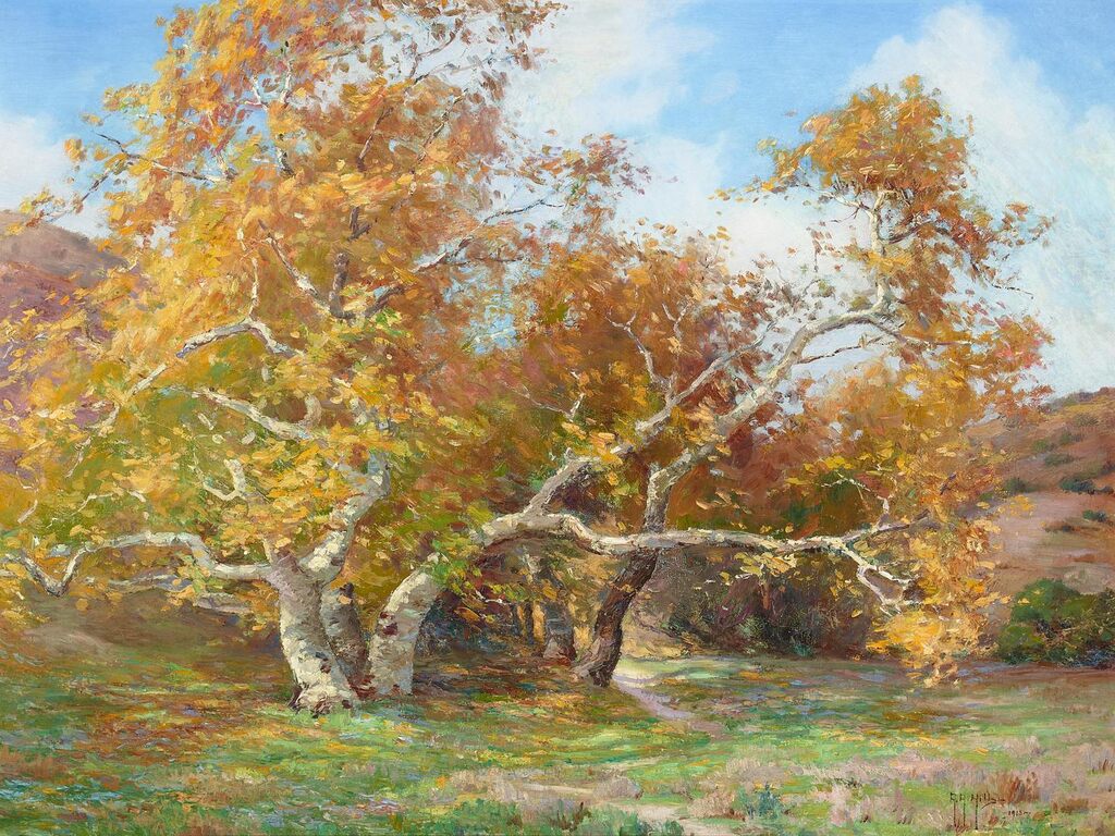 Trees and Wildflowers in Laguna Canyon