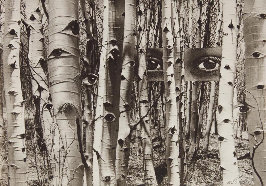 In Search of Times Past, 1959
