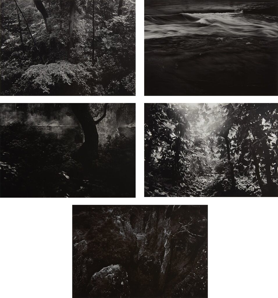 Five Selected Images