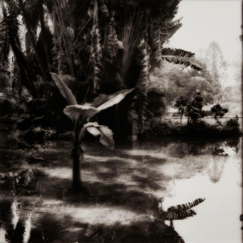 Rio, Botanical Garden 2