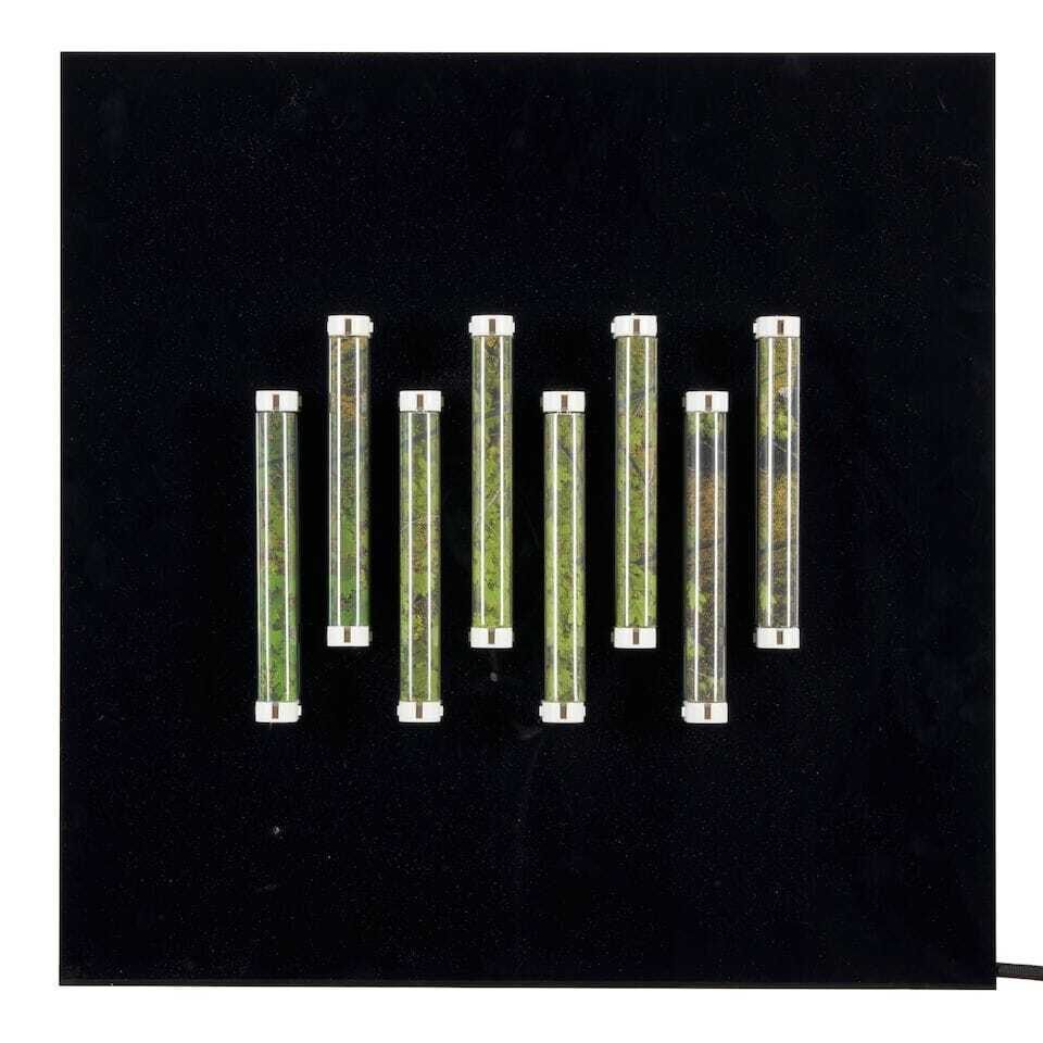 Chromogenic Study #1