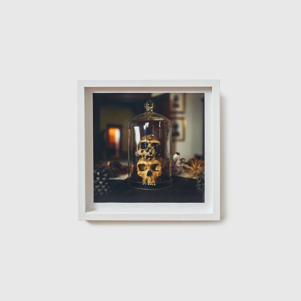 Smoke machines/specimens