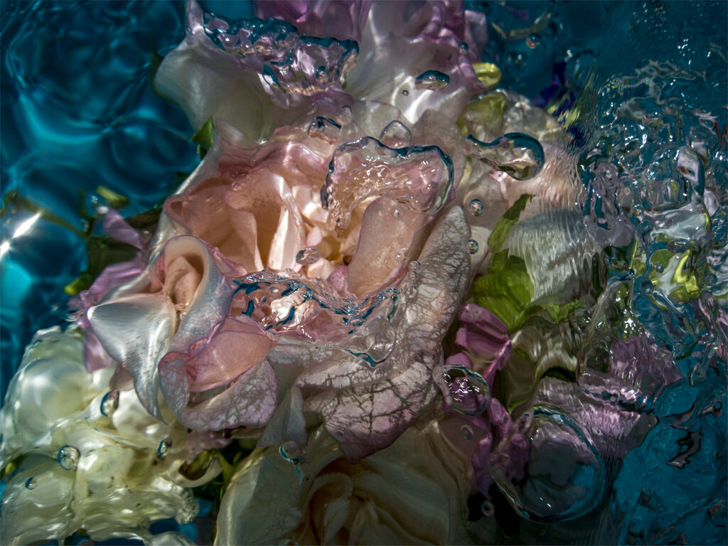 Flowers in Water No