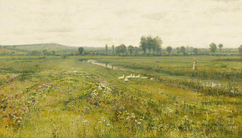 An extensive meadow landscape with geese by a stream