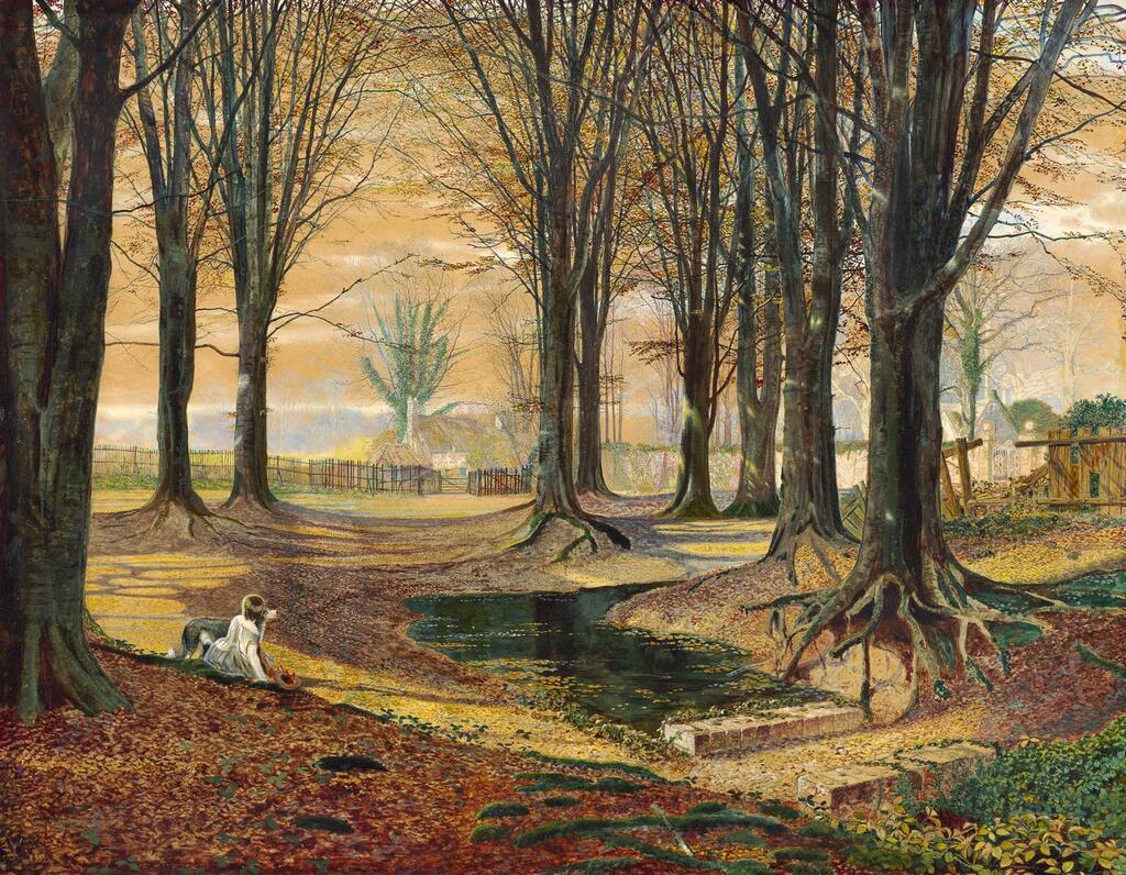Beechwood