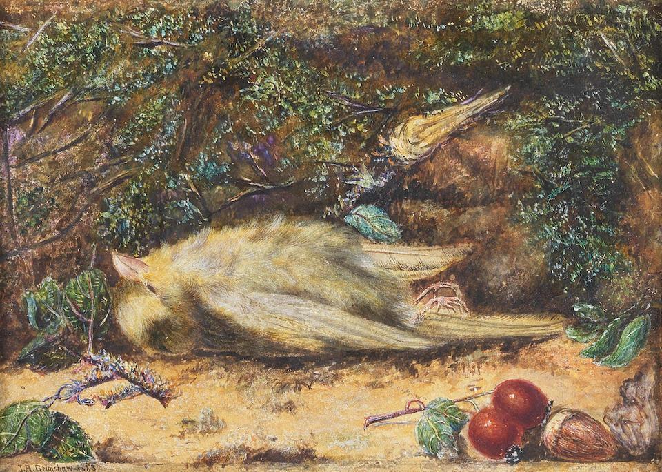 A fallen greenfinch
