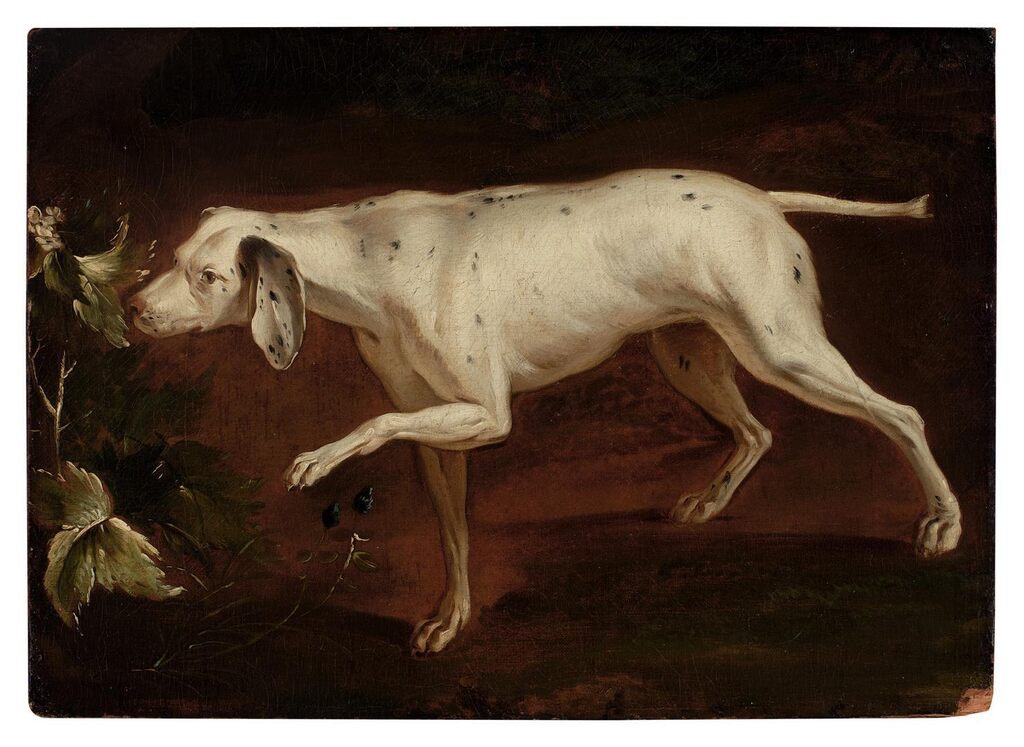 Study of a Pointer