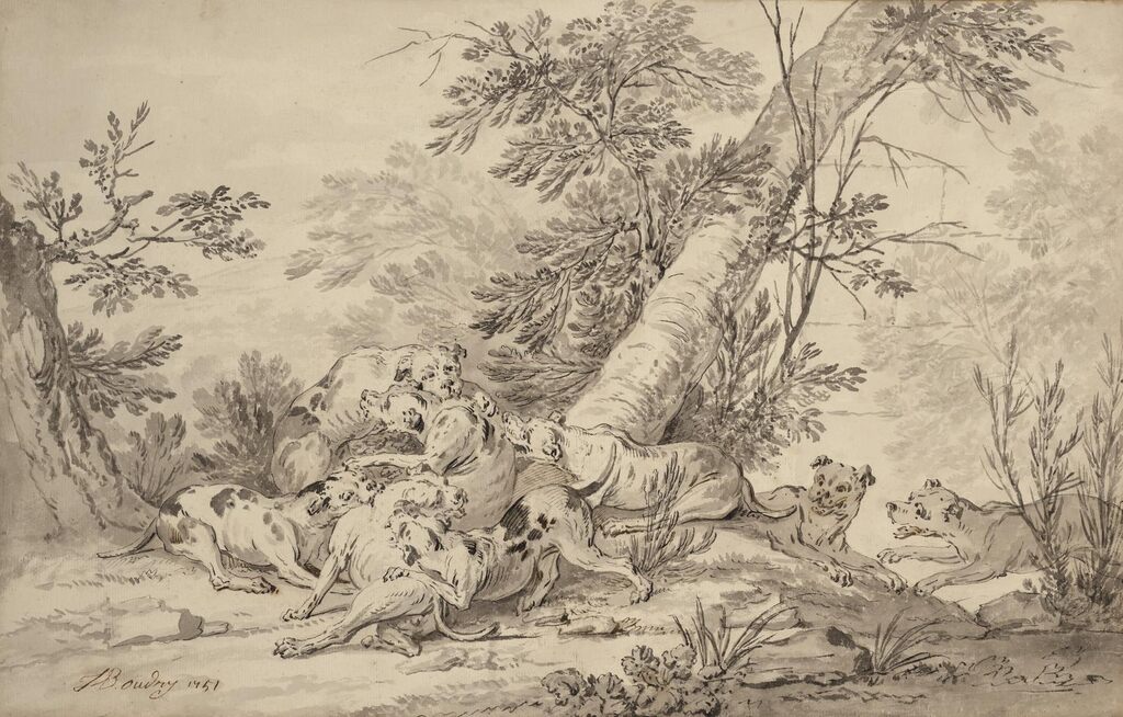 Combat de chiens en forêt
