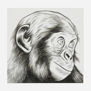 A Bonobo