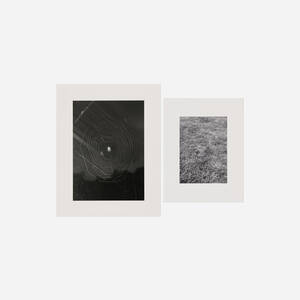 Where Walker Evans Once Stood; Spider and Web (two works)