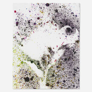 Untitled (Tiger Lilies)