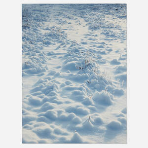 White Field
