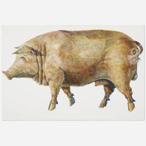 Pig