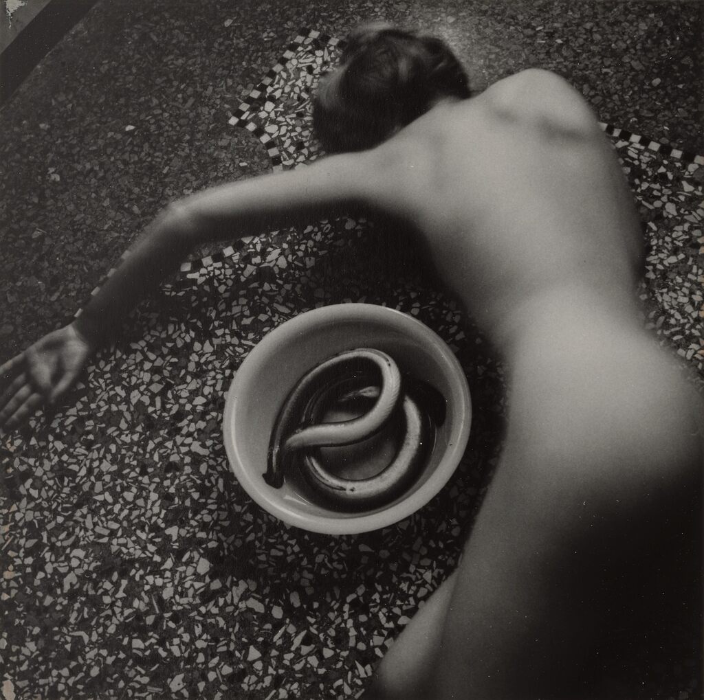 From Eel Series, Rome