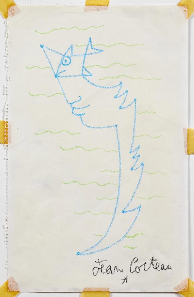 Profil à l'oeil-poisson