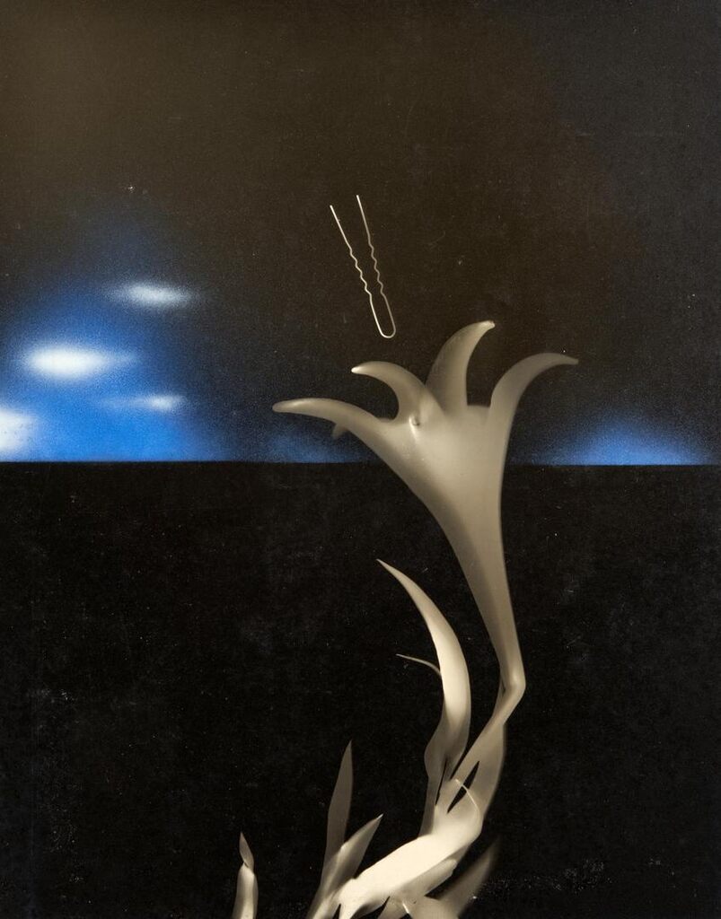 Untitled (Lily and Hairpin)
