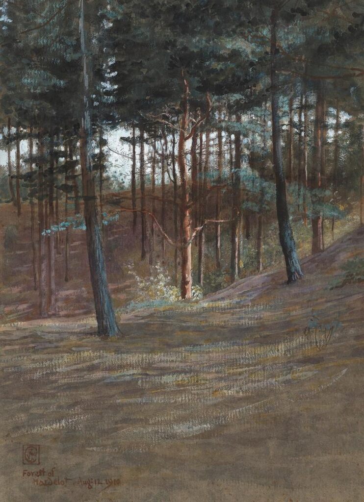 A Bit in Hardelot Forest