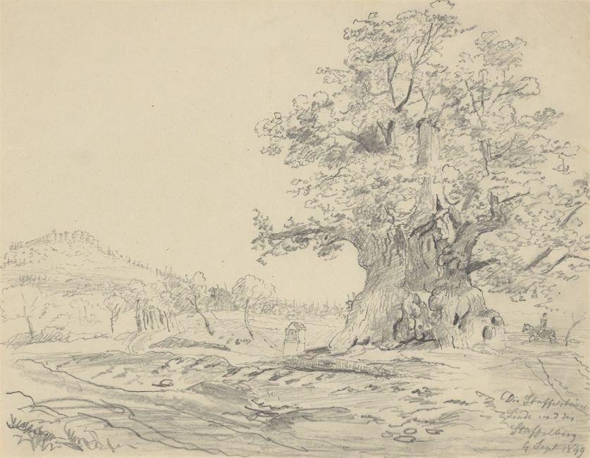 ”Die Staffelsteiner Linde und die Staffelburg” (The Staffelstei…